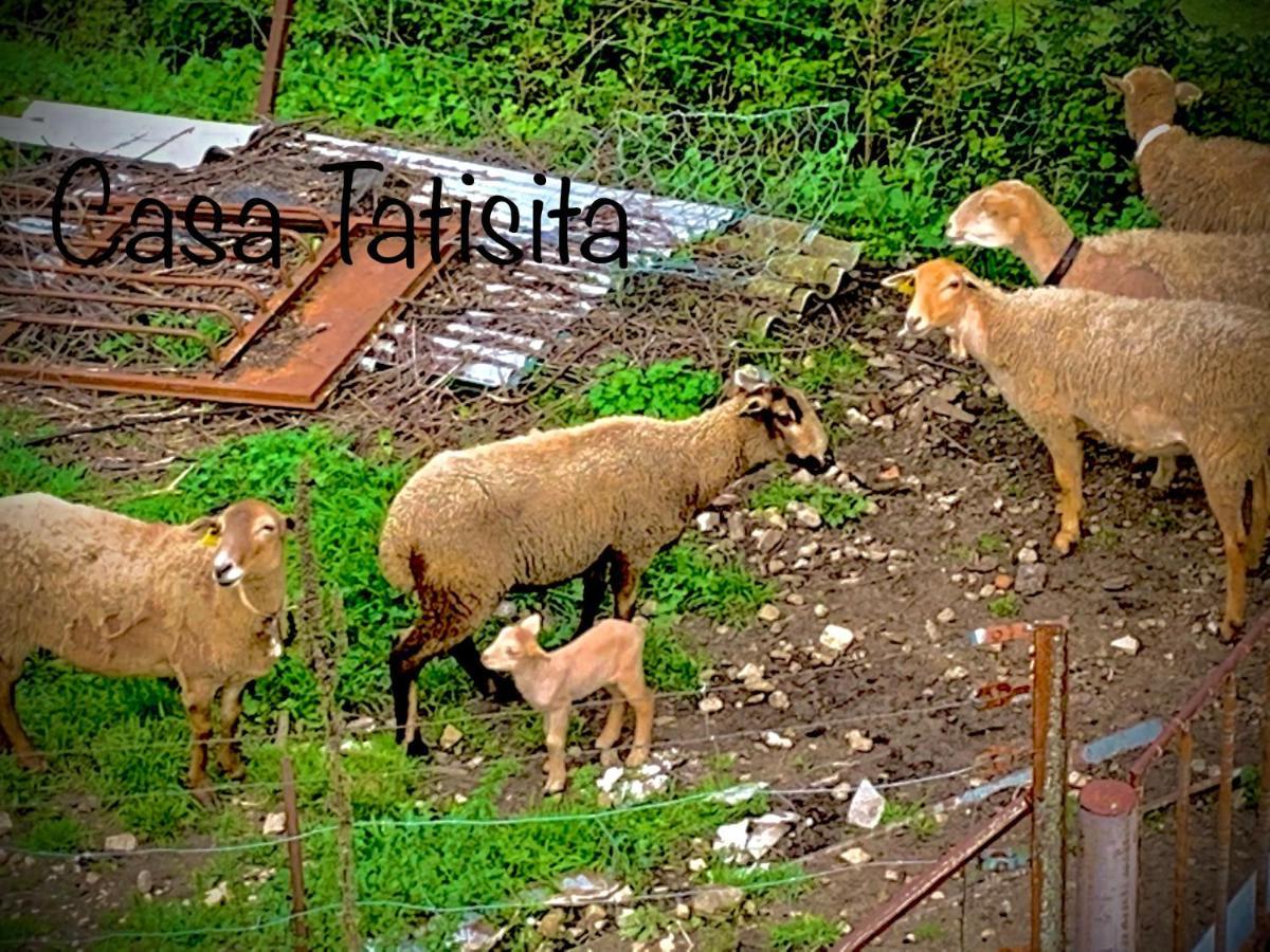 Casa Tatisita Luna Segura de la Sierra Zewnętrze zdjęcie